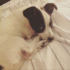 Meet your Posher, Caleigh